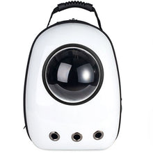 Load image into Gallery viewer, Astronaut Pet Bag